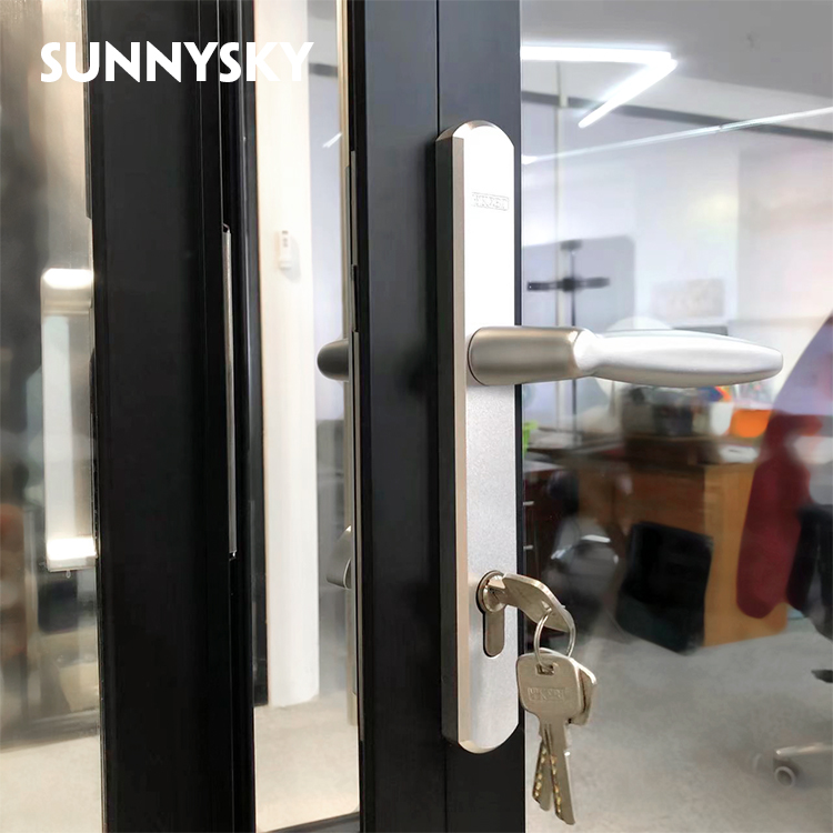Sunnysky NFRC Steel Look Swing Glass French Doors Thermal Break Aluminum Casement Crittall Door Hinged Patio Partition Doors